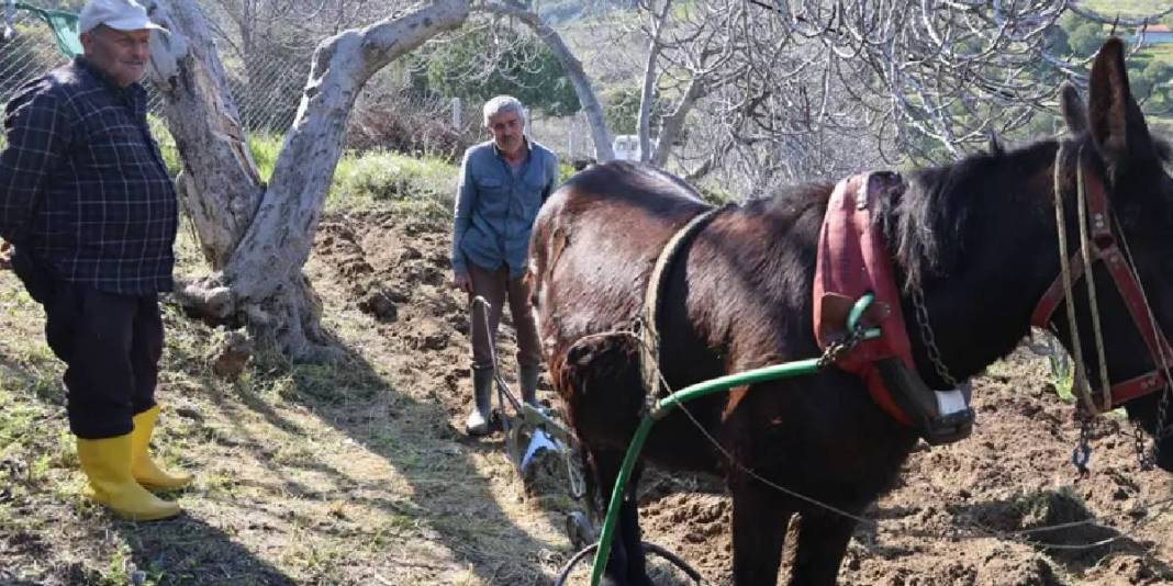 Köyün en genci 50 yaşında: Genç nüfus kalmaması en büyük sorunları 1